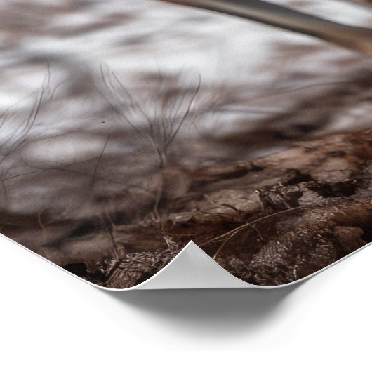 Yellowstone Wolves Poster Kunst (Hoek)