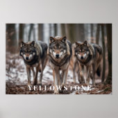Yellowstone Wolves Poster Kunst (Voorkant)