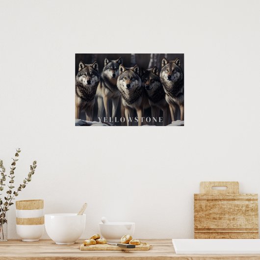 Yellowstone Wolves Poster Kunst (Keuken)