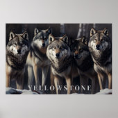 Yellowstone Wolves Poster Kunst (Voorkant)