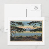 Yellowstone, WY - Yellowstone Lake en Colter Briefkaart (Voorkant / Achterkant)