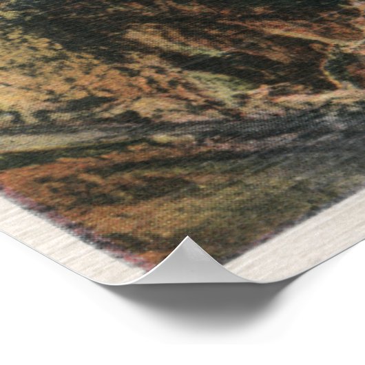 Yellowstone, WYfrom Artist's Point Poster (Hoek)