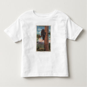 Yellowstone, WYView of Black Beer in Tree Kinder Shirts