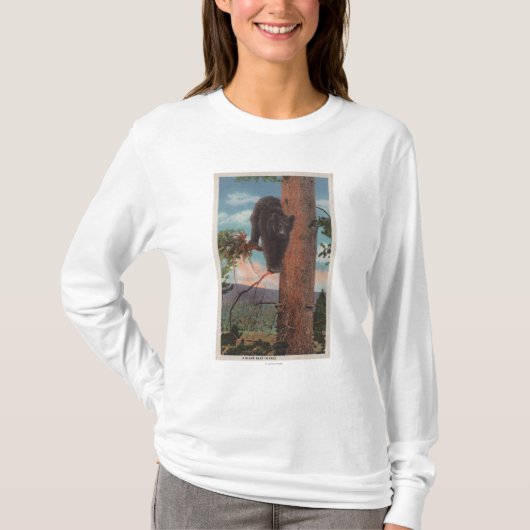 Yellowstone, WYView of Black Beer in Tree T-shirt (Voorkant)