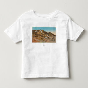 Yellowstone, WYView of Jupiter Terrace Kinder Shirts