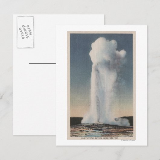 Yellowstone, WYView of Old Faithful Erupting Briefkaart (Voorkant / Achterkant)
