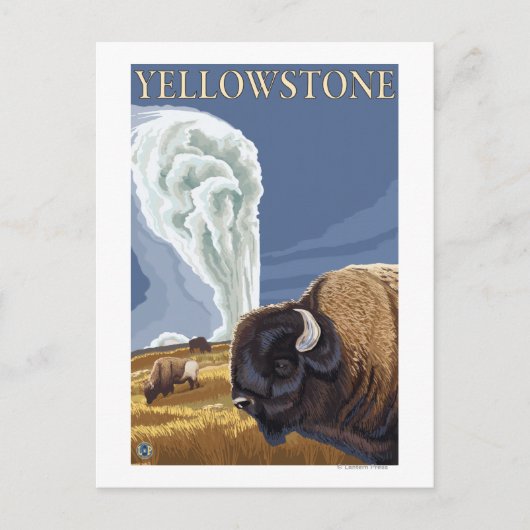 YellowstoneBison met ouderwets getrouw Briefkaart (Voorkant)