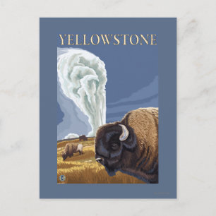 YellowstoneBison met ouderwets getrouw Briefkaart