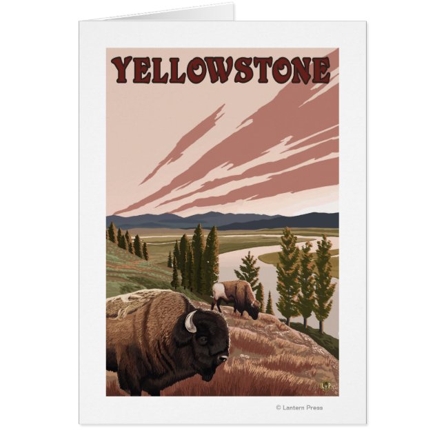 YellowstoneBison Scene (Voorkant)