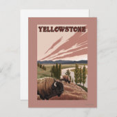 YellowstoneBison Scene Briefkaart (Voorkant / Achterkant)