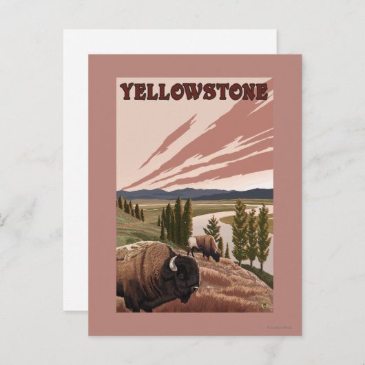 YellowstoneBison Scene Briefkaart (Voorkant / Achterkant)