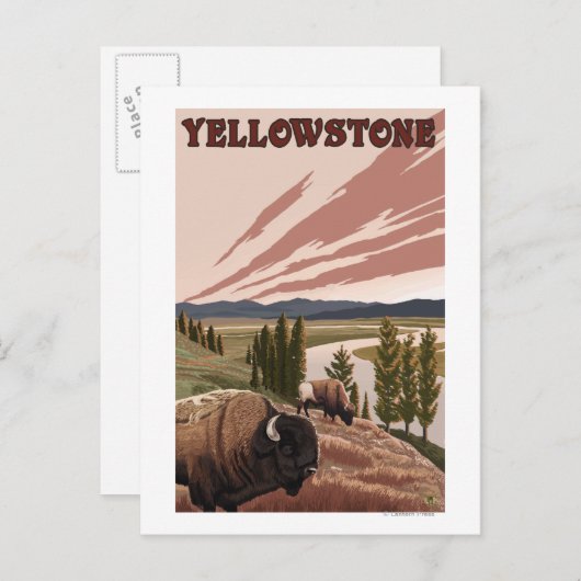 YellowstoneBison Scene Briefkaart (Voorkant / Achterkant)