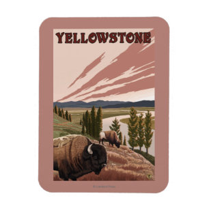 YellowstoneBison Scene Magneet