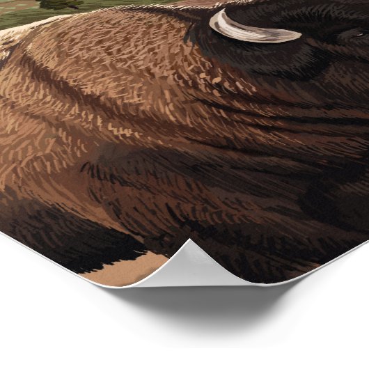 YellowstoneBison Scene Poster (Hoek)