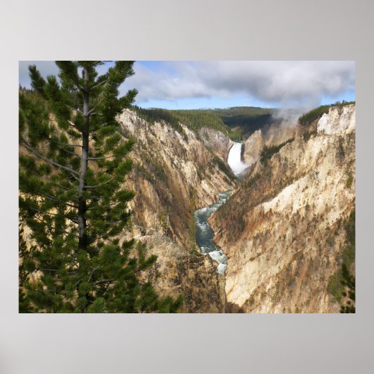 Yellowstone's Artist Point Poster (Voorkant)