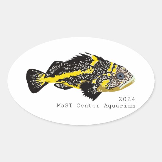 Yellowstripe Rockfish 2024 -Classic Ronde Stickers (Voorkant)
