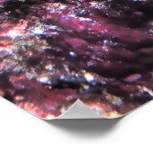 Yellowtail Coris Wrasse Poster (Hoek)