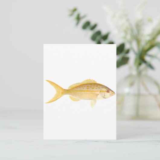 Yellowtail Snapper Logo Briefkaart (Staand voorkant)