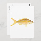 Yellowtail Snapper Logo Briefkaart (Voorkant / Achterkant)