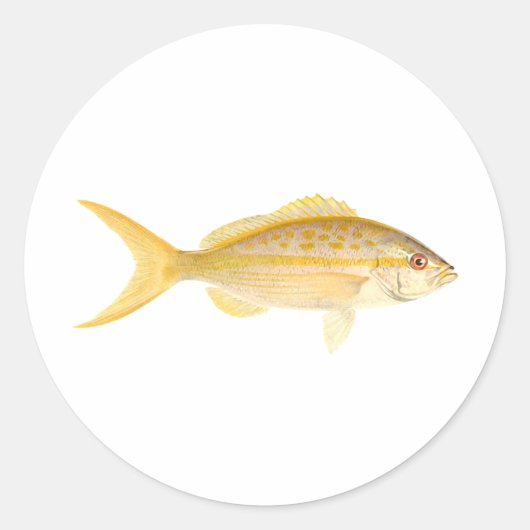 Yellowtail Snapper Logo Ronde Sticker (Voorkant)