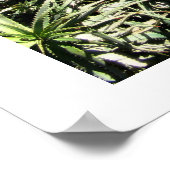 Yemin Moshe Poster (Hoek)