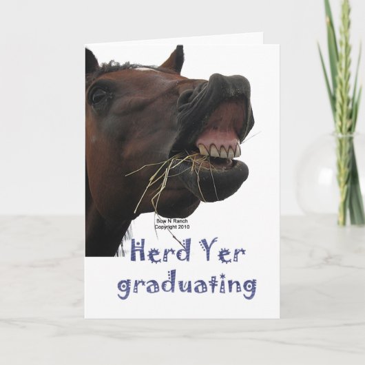 Yer die van de kudde Grappig Paard een diploma Kaart (Voorkant)