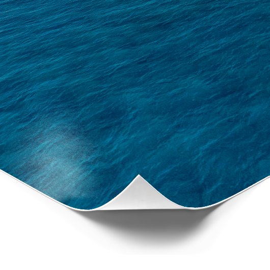 Yeronissos Island, Paphos, Cyprus Perfect Poster (Hoek)