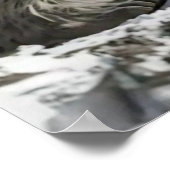 Yeti en het Snow Leopard Poster (Hoek)