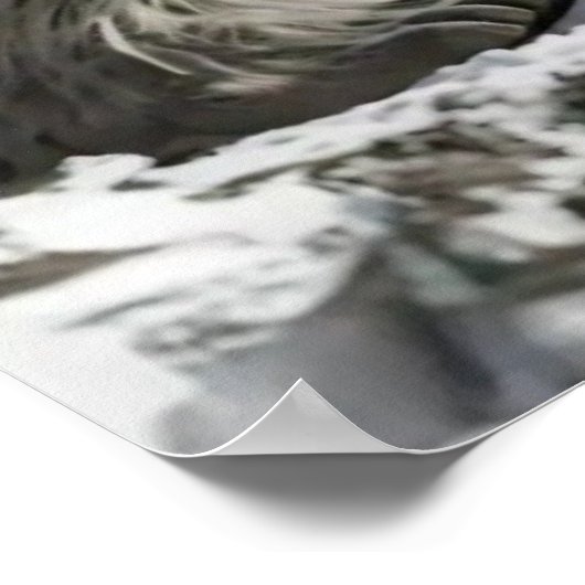 Yeti en het Snow Leopard Poster (Hoek)