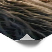 Yeti en het Snow Leopard Poster (Hoek)