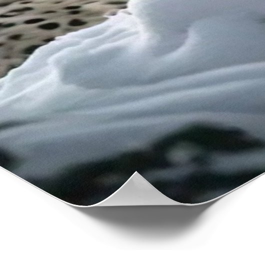 Yeti en het Snow Leopard Poster (Hoek)