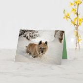 Yeti Kaart (Gele Bloem)