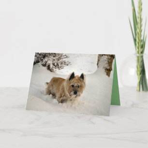 Yeti Kaart