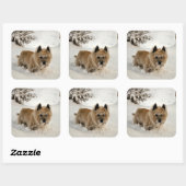 Yeti Vierkante Sticker (Vel)