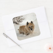 Yeti Vierkante Sticker (Envelop)