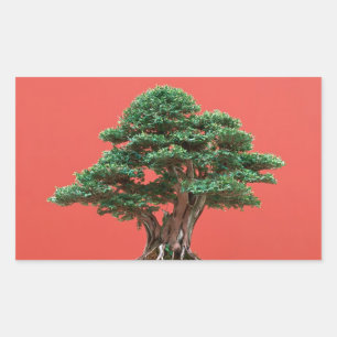 Yew bonsai rechthoekige sticker