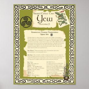 YEW CELTIC SACRED TREE POSTER
