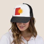 Yezidi Flag Pet (In situ)