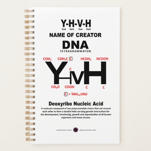 YHVH-DNA Chemical Bond Planner (Voorkant)