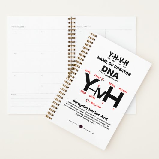 YHVH-DNA Chemical Bond Planner (Display)