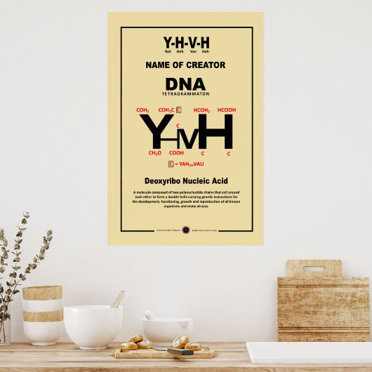 YHVH-DNA POSTER (Keuken)