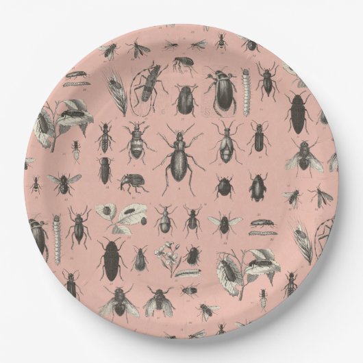 Yikes Bugs op mijn Bord (Voorkant)