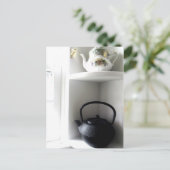 yin en yang briefkaart (Staand voorkant)