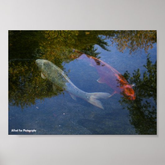Yin en Yang in Zilver en Amber Poster (Voorkant)