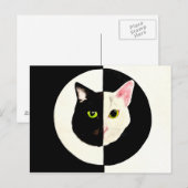 Yin en yang zwarte en witte katten schilderen briefkaart (Voorkant / Achterkant)
