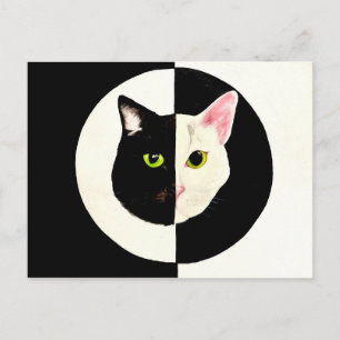 Yin en yang zwarte en witte katten schilderen briefkaart