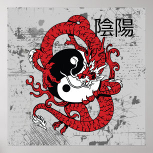 Yin yang Chinees symbool en draak Poster