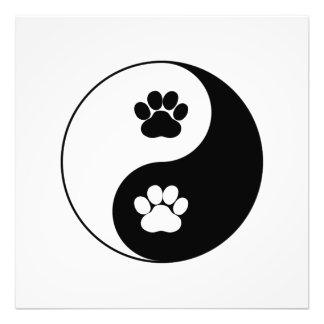 Yin Yang Dog Paw Foto Afdruk