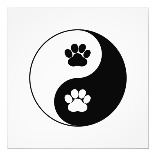 Yin Yang Dog Paw Foto Afdruk (Voorkant)
