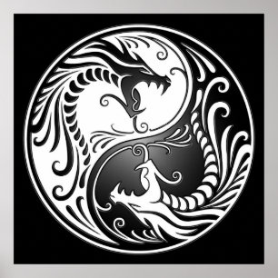 Yin Yang Dragons, wit en zwart Poster